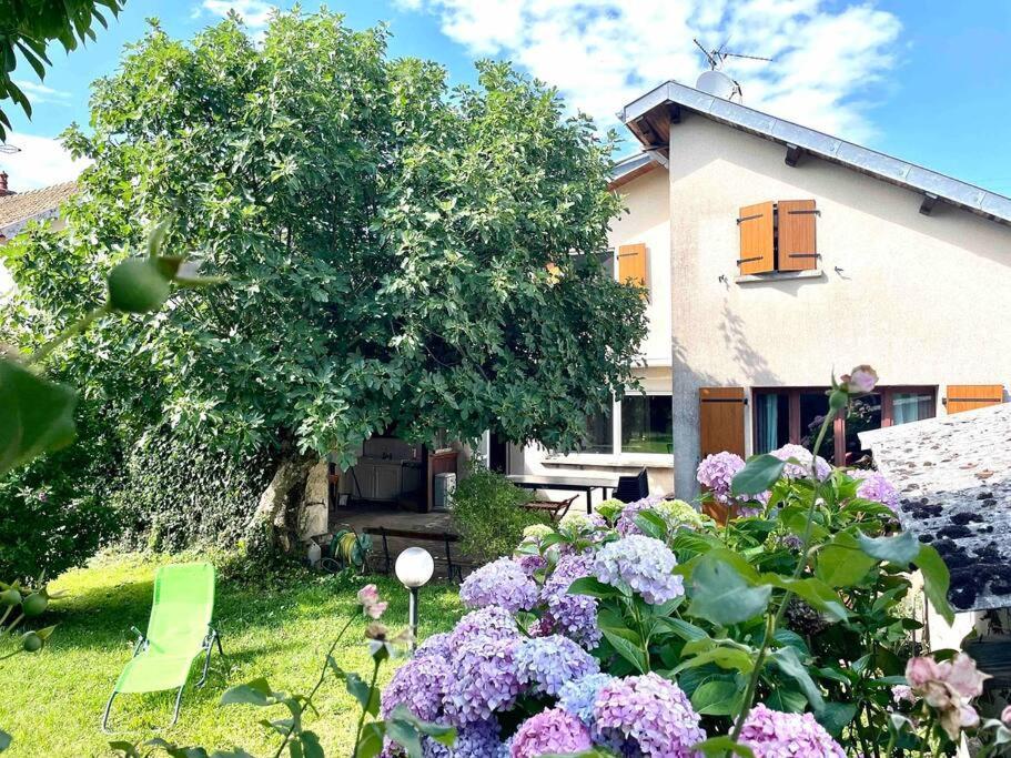 La Casa Del Papa - Maison Spacieuse Avec Jardin 돌 외부 사진